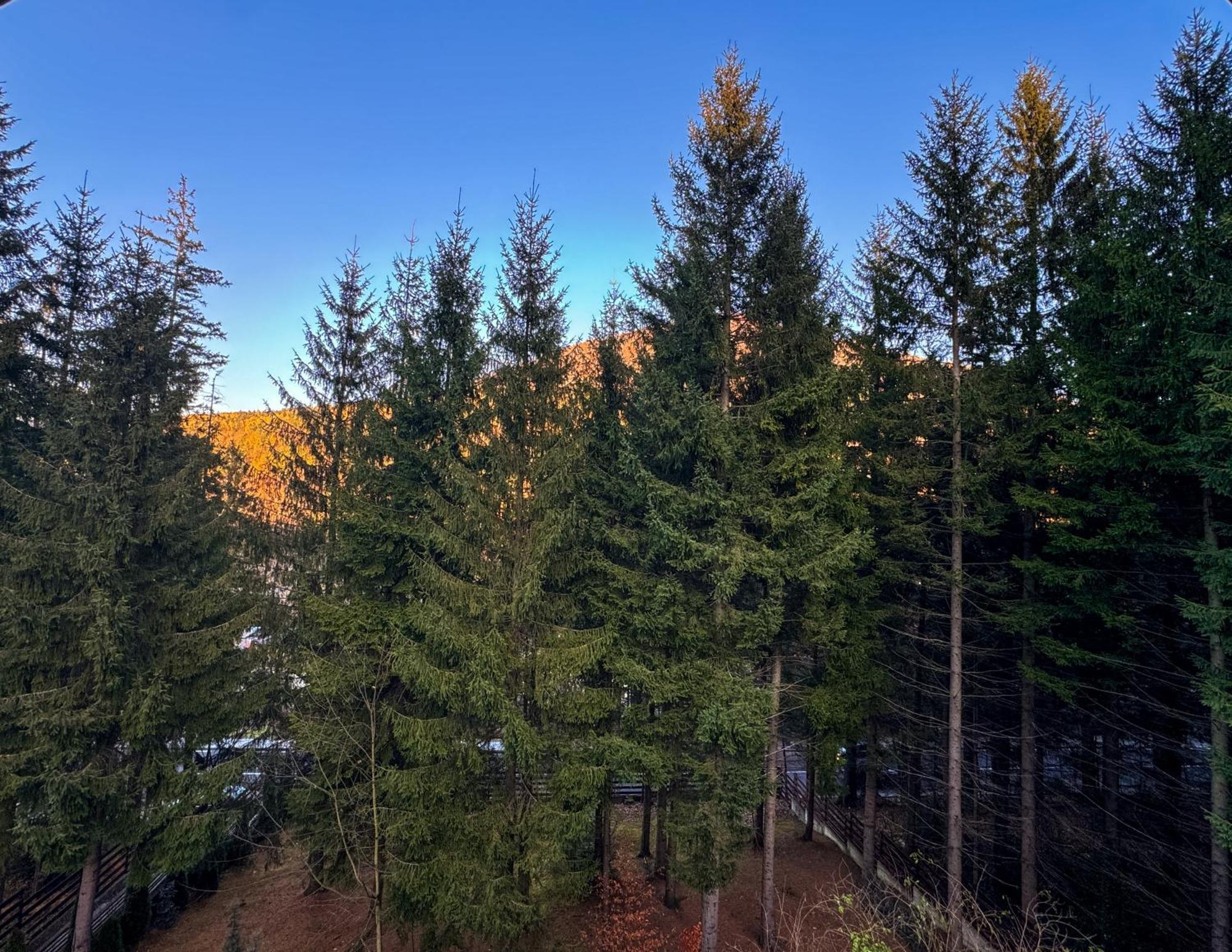 Impala Sinaia - Gazelle Apartment Luaran gambar