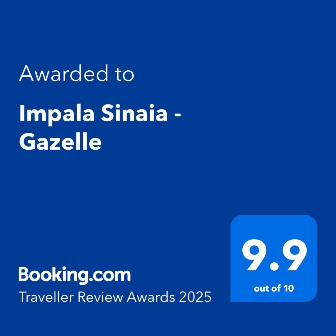 Impala Sinaia - Gazelle Apartment Luaran gambar